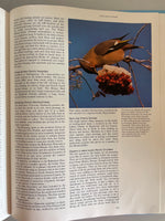 € Vintage Illustrated Encyclopedia of Birds, a Complete Introduction to the World of Birds HC