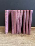 € Vintage Set of 8 William Shakespeare, printed by Henry Altumus Company, 1899? Hardcover