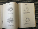 +* Vintage Learn to Draw Cartoons & Learn to Draw Animals Art Books