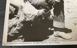 +* Vintage (2) B&W Actor John Wayne Portrait Photographs Warner Bros Movie Promo Stills 5x7
