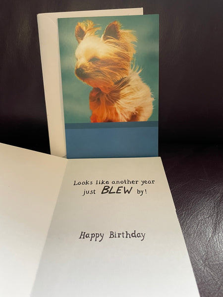New HAPPY BIRTHDAY ANYONE Dogs Terrier Greeting Card w/ Envelope American Greeting