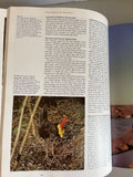 € Vintage Illustrated Encyclopedia of Birds, a Complete Introduction to the World of Birds HC