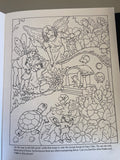 <€€ HIDDEN PICTURE PUZZLE COLORING BOOK Dover Children’s By Anna Pomaska