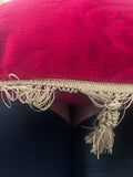 +* Square 19” Royal Red with Gold Trim and Tassels Velour Velvety Pillow