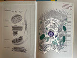 +* Cell Biology by Jack D. Burke, 1970 Hardcover