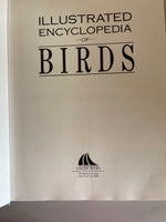 € Vintage Illustrated Encyclopedia of Birds, a Complete Introduction to the World of Birds HC