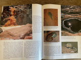 + ARCHES UTAH The Story Behind the Scenery National Park John Bezy 1985