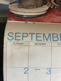 +* Vintage 1973 Girl Scout of America Photo Calendar (mirrors 2029 & more) Collectible