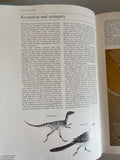 € Vintage Illustrated Encyclopedia of Birds, a Complete Introduction to the World of Birds HC