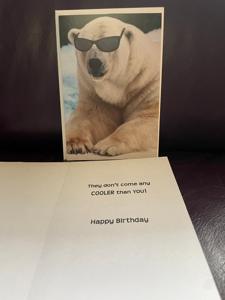 New HAPPY BIRTHDAY ANYONE Polar Bear Greeting Card w/ Envelope American Greeting