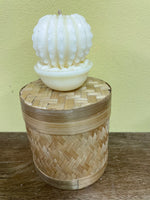 a** New 3” Pillar CANDLE  White Cactus Succulent Volcanica #9306 Unscented Handcrafted Gift Box