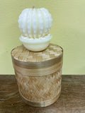 a** New 3” Pillar CANDLE  White Cactus Succulent Volcanica #9306 Unscented Handcrafted Gift Box