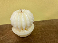 a** New 3” Pillar CANDLE  White Cactus Succulent Volcanica #9306 Unscented Handcrafted Gift Box