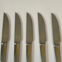 €~ Vintage MCM Set/5 Stanley Roberts Top Flite Dinner Knives Stainless Steel Japan