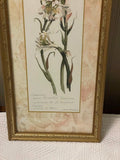 ¥ Kirkland’s Tuberose Framed Art