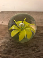 a** Yellow Floral Viola Clear Glass Paperweight 2”  Round