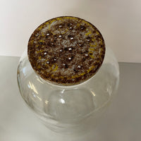 ~€ Vintage Clear Glass MTC 10.5” Jar Lid w/ Holes BUG Catcher Empty 4179