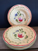 <€€ Pfaltzgraff NAPOLI Hand Painted Stoneware Set of 4 9” Salad Dessert Sandwich Plates Round