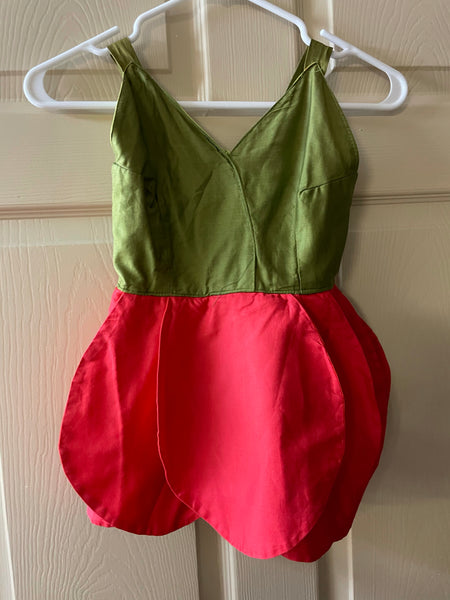 Vintage Girls 3T/4T Dance Play TINKERBELL Costume Desert Rose & Green Bloomers Halloween