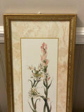 ¥ Kirkland’s Tuberose Framed Art