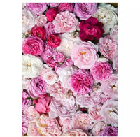 New Home Photography Backdrop PINK & WHITE PEONIES FLORAL Vinyl Photo Studio Prop