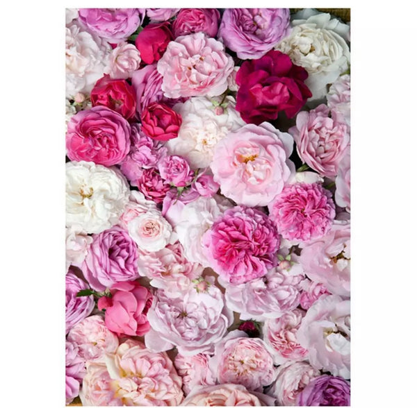 a** New Home Photography Backdrop PINK & WHITE PEONIES FLORAL Vinyl Photo Studio Prop