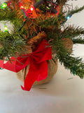 €¥ Holiday Christmas Table Top PreLit Fir TREE in Burlap Bag