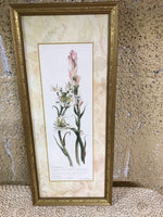 ¥ Kirkland’s Tuberose Framed Art