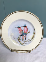 € Vintage Wedgwood HANDPAINTED First Edition 2nd Series Birds of Southern Africa Southern Carmine Bee Eater A.Maberly