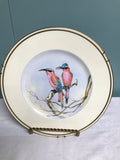 € Vintage Wedgwood HANDPAINTED First Edition 2nd Series Birds of Southern Africa Southern Carmine Bee Eater A.Maberly
