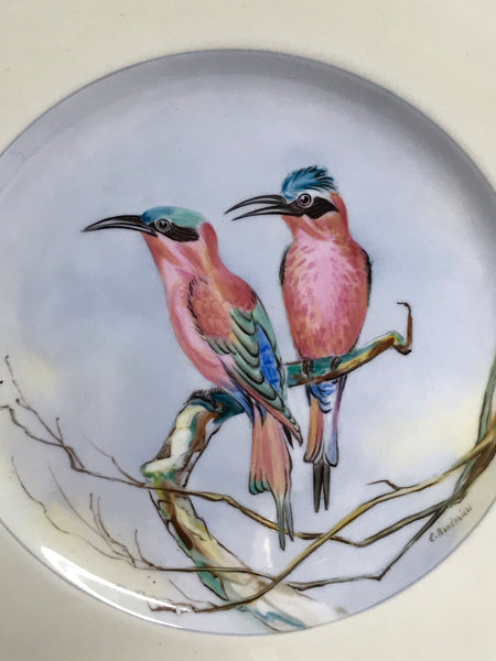 € Vintage Wedgwood HANDPAINTED First Edition 2nd Series Birds of Southern Africa Southern Carmine Bee Eater A.Maberly