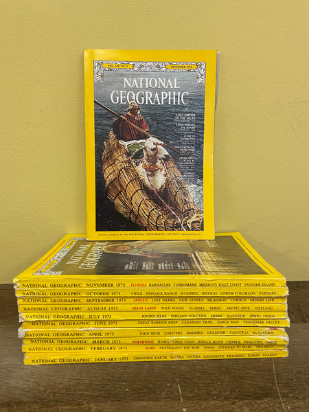 Vintage National Geographic Magazines Lot of 12 All Months 1973 January-December
