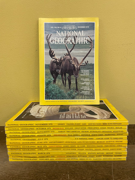 € Vintage National Geographic Magazines Lot of 12 All Months 1979 January-December